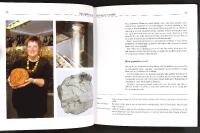 RAV &ndash; Fra harpiks til smykke