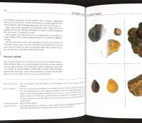 RAV &ndash; Fra harpiks til smykke