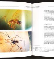 RAV &ndash; Fra harpiks til smykke