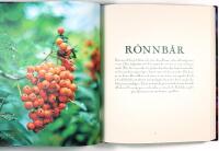 NYSK&Ouml;RDAT &ndash; Recept och metoder f&ouml;r att ta vara p&aring; frukt, b&auml;r, svamp och gr&ouml;nsaker