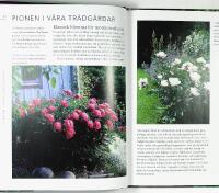 PIONER &ndash; Fr&aring;n bondpioner till kinesiska sk&ouml;nheter