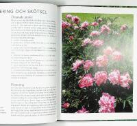 PIONER &ndash; Fr&aring;n bondpioner till kinesiska sk&ouml;nheter