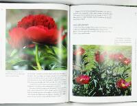 PIONER &ndash; Fr&aring;n bondpioner till kinesiska sk&ouml;nheter