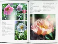 PIONER &ndash; Fr&aring;n bondpioner till kinesiska sk&ouml;nheter