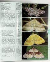 SM&Aring;KRYP &ndash; Best&auml;mningsbok f&ouml;r 445 arter