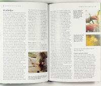 ORKID&Eacute;ER &ndash; Expertens b&auml;sta r&aring;d och tips