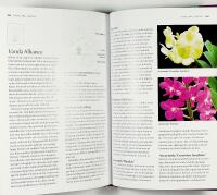 ORKID&Eacute;ER &ndash; Expertens b&auml;sta r&aring;d och tips