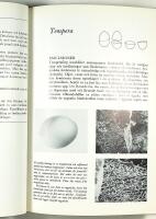 M&Aring;LERIETS MATERIAL