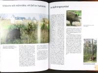 VILDSVIN &ndash; Milj&ouml; &bull; Viltv&aring;rd &bull; Jakt