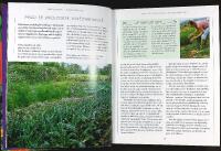 DEN &Oslash;KOLOGISKE HAVE &ndash; Dyrkning af gr&oslash;ntsager, frugt og b&aelig;r, krydderurter og blomster