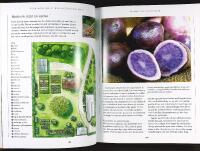 DEN &Oslash;KOLOGISKE HAVE &ndash; Dyrkning af gr&oslash;ntsager, frugt og b&aelig;r, krydderurter og blomster