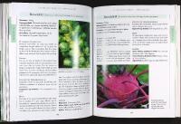 DEN &Oslash;KOLOGISKE HAVE &ndash; Dyrkning af gr&oslash;ntsager, frugt og b&aelig;r, krydderurter og blomster