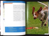 FR&Aring;N VALP TILL STJ&Auml;RNA &ndash; Del 1: Grundtr&auml;ning