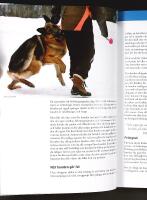 FR&Aring;N VALP TILL STJ&Auml;RNA &ndash; Del 1: Grundtr&auml;ning