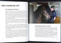 ATLIS VERKTYG F&Ouml;R ISLANDSRYTTARE