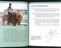 ATLIS VERKTYG F&Ouml;R ISLANDSRYTTARE