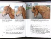 ATLIS VERKTYG F&Ouml;R ISLANDSRYTTARE