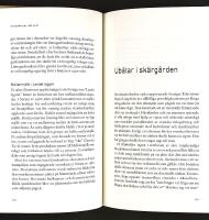 DET DRAMATISKA 1980-TALET &ndash; Decenniet som f&ouml;r&auml;ndrade v&auml;rlden