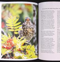 V&Auml;RLDENS VIKTIGASTE TR&Auml;DG&Aring;RD &ndash; Till naturens f&ouml;rsvar