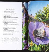 V&Auml;RLDENS VIKTIGASTE TR&Auml;DG&Aring;RD &ndash; Till naturens f&ouml;rsvar