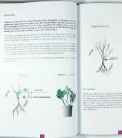 ATT PLANERA OCH ANL&Auml;GGA TR&Auml;DG&Aring;RD &ndash; En praktisk handbok