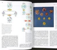 BIOLOGY OF PLANTS