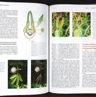 BIOLOGY OF PLANTS