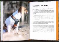 Tr&auml;na och starta p&aring; prov i VILTSP&Aring;R