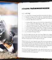 Tr&auml;na och starta p&aring; prov i VILTSP&Aring;R