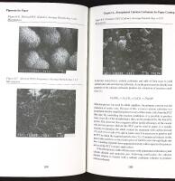 PIGMENTS FOR PAPER &ndash; A Project of the Coating Pigments Committee of Tappi's Coating & Graphic Arts Division