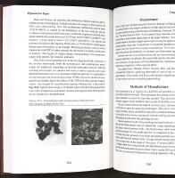 PIGMENTS FOR PAPER &ndash; A Project of the Coating Pigments Committee of Tappi's Coating & Graphic Arts Division