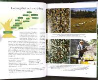 BIN TILL NYTTA OCH N&Ouml;JE