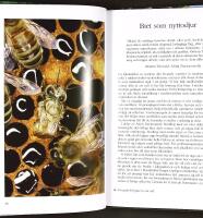 BIN TILL NYTTA OCH N&Ouml;JE