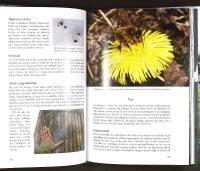 BIN TILL NYTTA OCH N&Ouml;JE