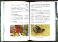 BIN TILL NYTTA OCH N&Ouml;JE