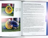 VARDAGSLYDNAD MED KLICKER