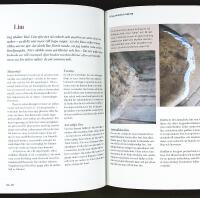 SKAVANK &ndash; Laga, v&aring;rda och uppskatta det gamla och n&ouml;tta