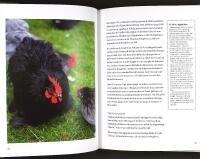 B&Ouml;RJA MED H&Ouml;NS