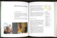 B&Ouml;RJA MED H&Ouml;NS