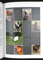 B&Ouml;RJA MED H&Ouml;NS