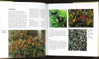 The complete CHILE PEPPER book &ndash; A Gardener's Guide to Choosing, Growing, Preserving, and Cooking