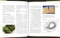 The complete CHILE PEPPER book &ndash; A Gardener's Guide to Choosing, Growing, Preserving, and Cooking