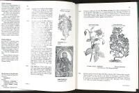 SL&Auml;KTET KLEMATIS