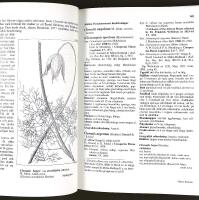 SL&Auml;KTET KLEMATIS