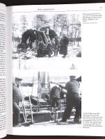 FILMEN I SVERIGE &ndash; En historia i tio kapitel