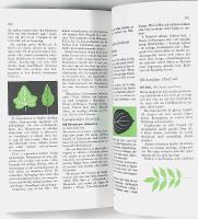 SKOGENS TR&Auml;D & BUSKAR