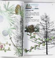 SKOGENS TR&Auml;D & BUSKAR