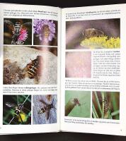 FANTASTISKA INSEKTER &ndash; Inblick i en sp&auml;nnande och egendomlig v&auml;rld