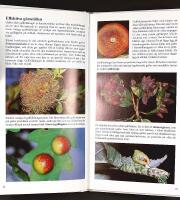 FANTASTISKA INSEKTER &ndash; Inblick i en sp&auml;nnande och egendomlig v&auml;rld