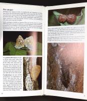 FANTASTISKA INSEKTER &ndash; Inblick i en sp&auml;nnande och egendomlig v&auml;rld